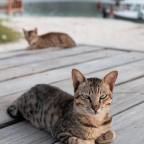 Question 2-2021 from Mr Still-loving-you